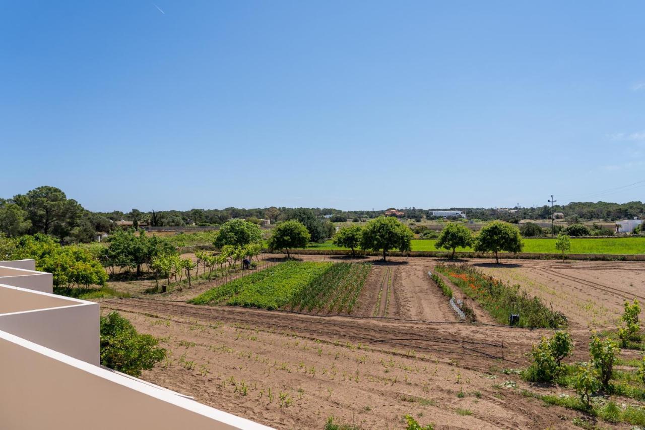 Apartamentos Marcelino - Formentera Break Es Pujols Bagian luar foto
